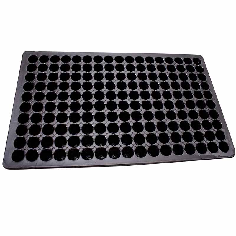 Bandeja de Geminacion 170 alveolos cavidades