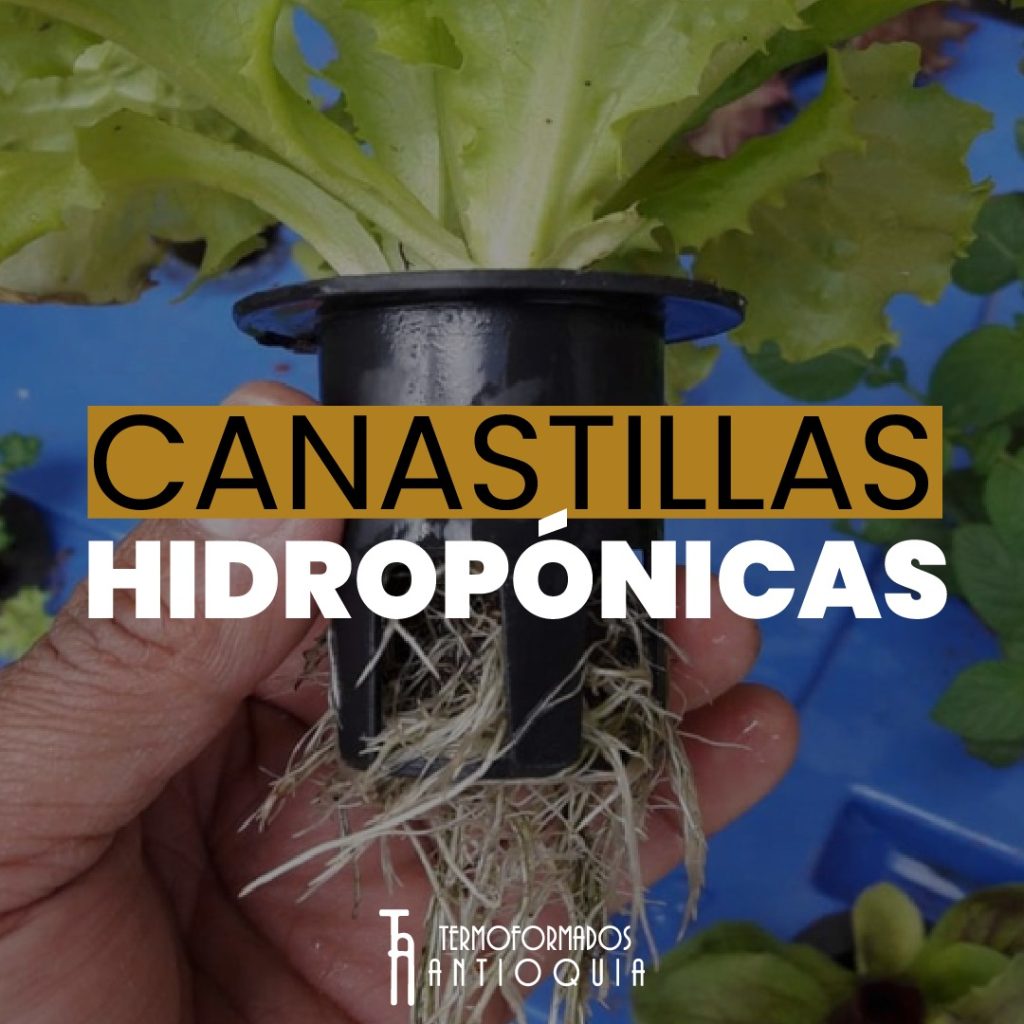 Canastillas Hidropónicas