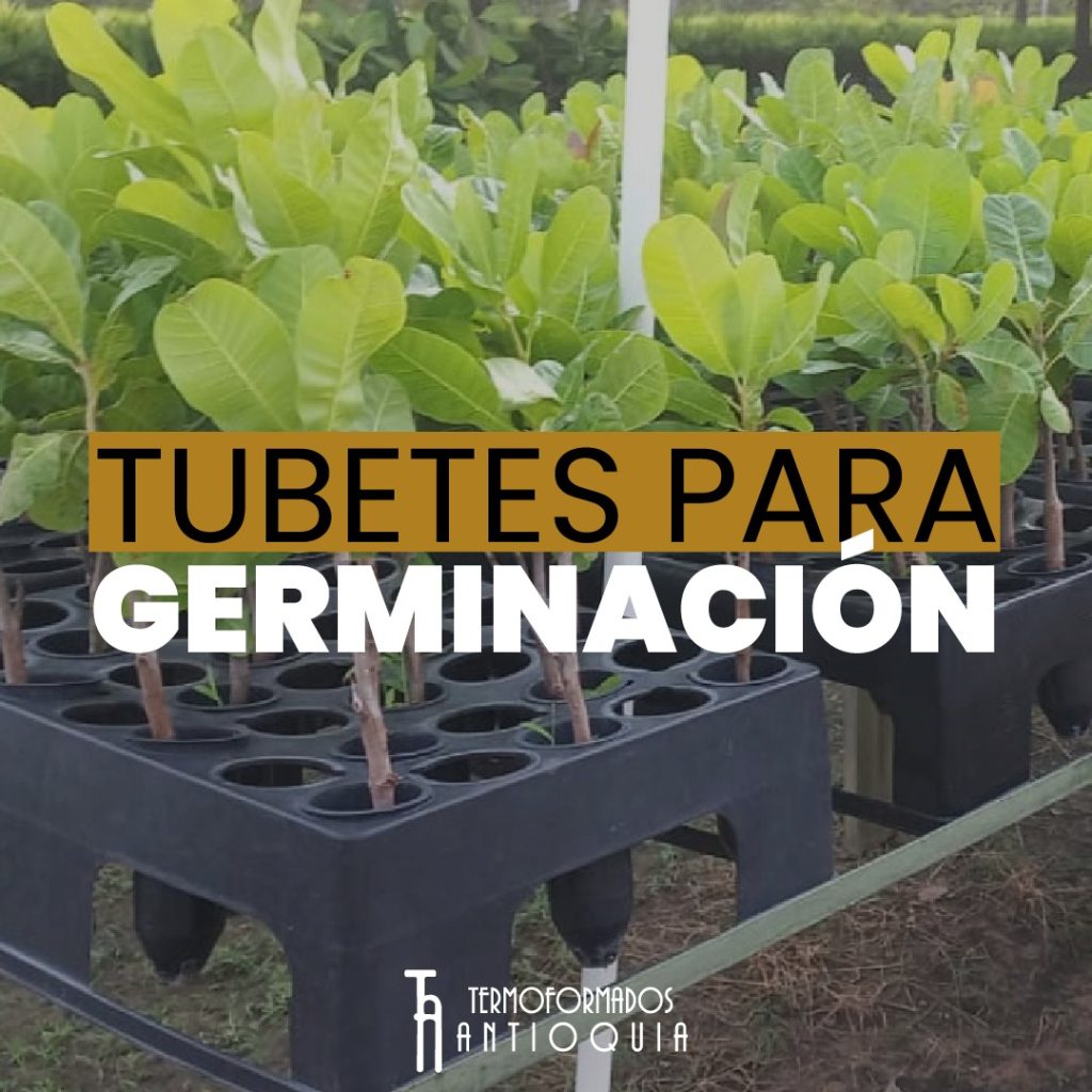Tubetes de Germinacón