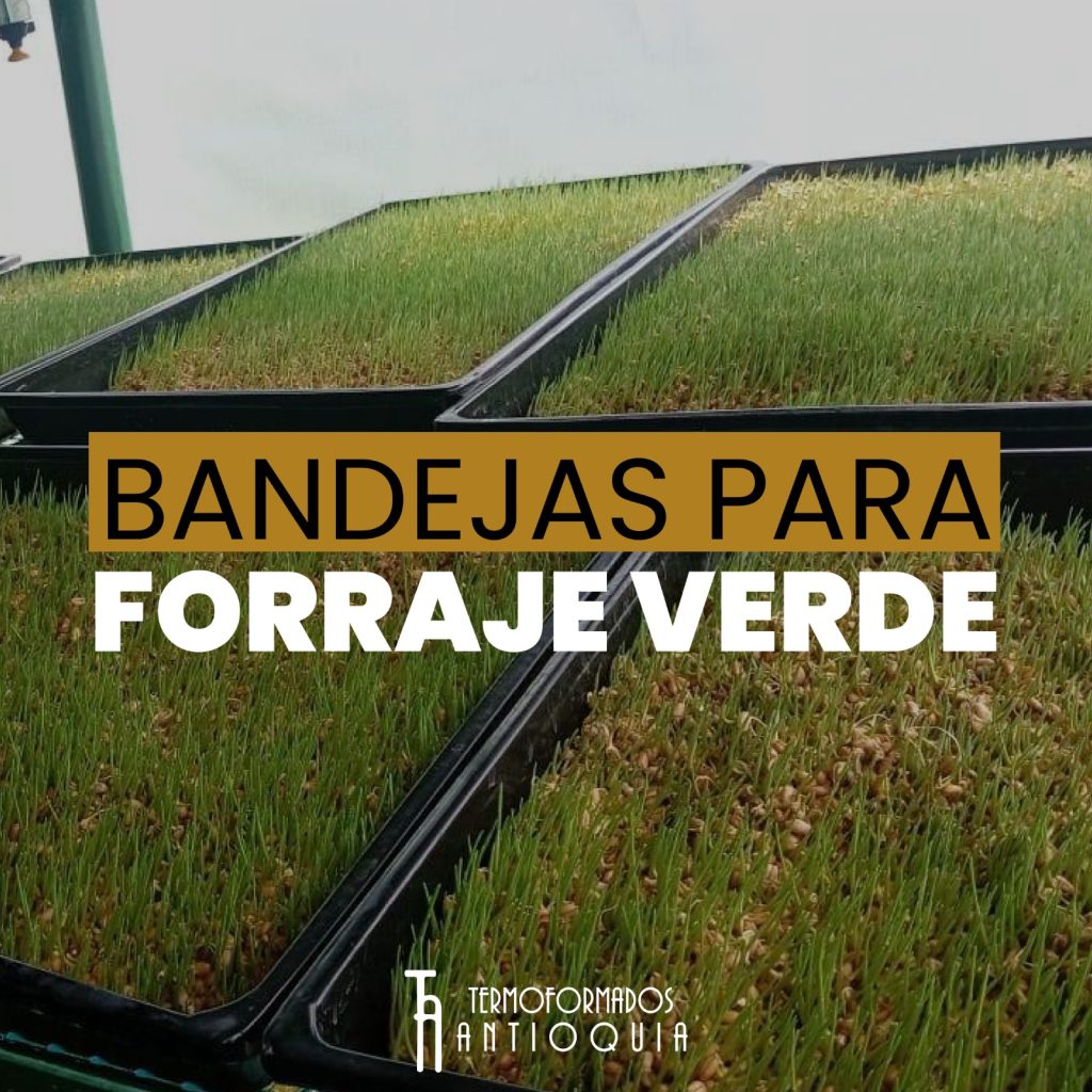 Bandejas para Forraje Verde Colombia & America Latina