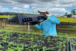 Recyclable-Propagation-Trays-Latin-America