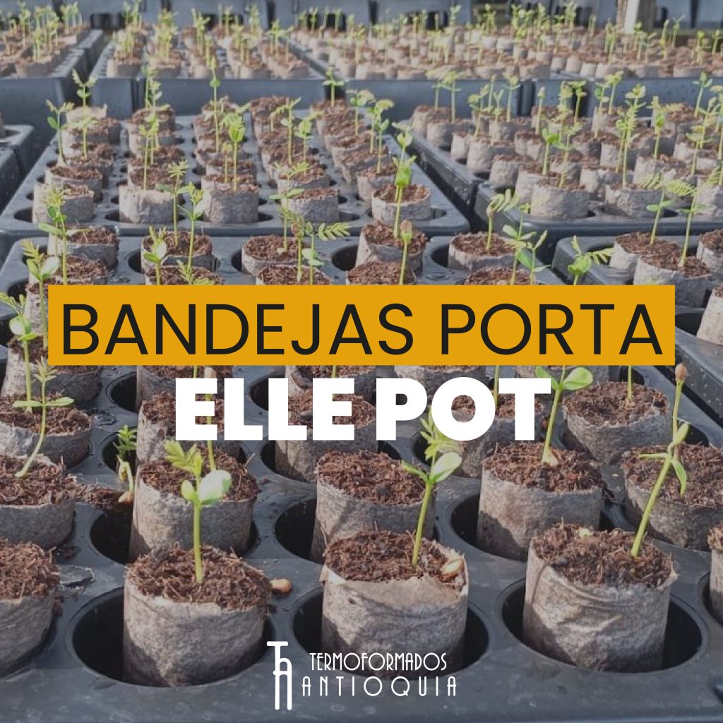 bandeja porta elle pot